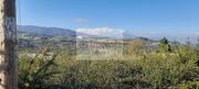 Terreno Industrial T0 - Varzea de Abrunhais, Lamego, Viseu