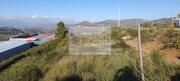 Terreno Industrial T0 - Varzea de Abrunhais, Lamego, Viseu - Miniatura: 4/5