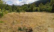 Terreno R�stico T0 - Tarouca, Tarouca, Viseu - Miniatura: 2/6