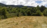 Terreno R�stico T0 - Tarouca, Tarouca, Viseu - Miniatura: 3/6