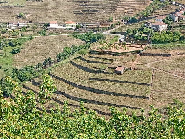 Quinta T0 - Samod�es, Lamego, Viseu - Imagem grande