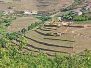 Quinta T0 - Samod�es, Lamego, Viseu