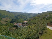 Quinta T0 - Samod�es, Lamego, Viseu - Miniatura: 2/5