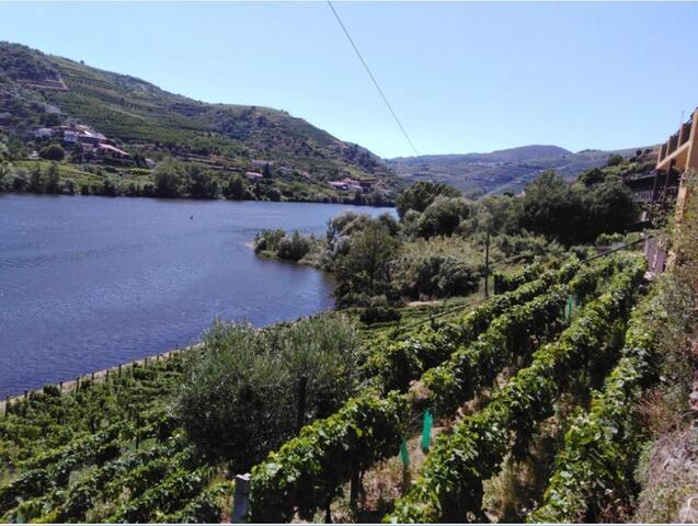 Pr�dio T0 - Vila Marim, Mes�o Frio, Vila Real - Imagem grande