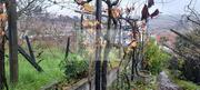 Terreno R�stico T0 - Lamego, Lamego, Viseu