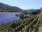 Pr�dio T0 - Vila Marim, Mes�o Frio, Vila Real