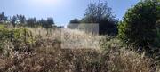 Terreno Urbano T0 - Cepes, Lamego, Viseu - Miniatura: 5/11