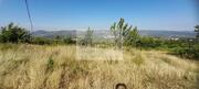 Terreno Urbano T0 - Cepes, Lamego, Viseu - Miniatura: 10/11