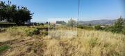 Terreno Urbano T0 - Cepes, Lamego, Viseu - Miniatura: 11/11