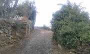 Quinta T0 - Armamar, Armamar, Viseu - Miniatura: 2/6