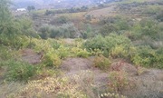 Quinta T0 - Armamar, Armamar, Viseu - Miniatura: 6/6