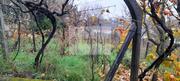 Terreno R�stico T0 - Lamego, Lamego, Viseu - Miniatura: 3/5