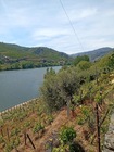 Pr�dio T0 - N�o Definido, Peso da R�gua, Vila Real - Miniatura: 1/7