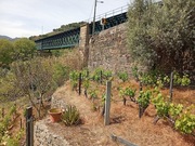 Pr�dio T0 - N�o Definido, Peso da R�gua, Vila Real - Miniatura: 7/7