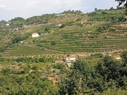 Apartamento T4 - Lamego, Lamego, Viseu - Miniatura: 3/5