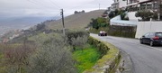 Terreno Urbano T0 - Lamego, Lamego, Viseu