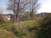 Terreno Urbano T0 - N�o Definido, Lamego, Viseu - Miniatura: 8/15