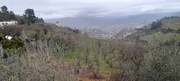 Terreno Urbano T0 - Lamego, Lamego, Viseu - Miniatura: 1/9