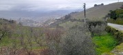 Terreno Urbano T0 - Lamego, Lamego, Viseu - Miniatura: 2/9