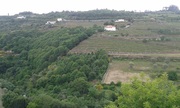 Terreno Urbano T0 - Lamego, Lamego, Viseu - Miniatura: 7/13