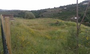Terreno Urbano T0 - Lamego, Lamego, Viseu - Miniatura: 8/12