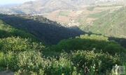 Terreno Rstico T0 - Lamego, Lamego, Viseu - Miniatura: 4/5