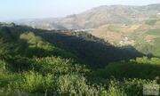 Terreno Rstico T0 - Lamego, Lamego, Viseu - Miniatura: 5/5