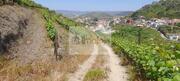 Quinta T0 - Cambres, Lamego, Viseu - Miniatura: 2/9