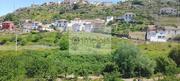 Quinta T0 - Cambres, Lamego, Viseu - Miniatura: 3/9