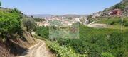 Quinta T0 - Cambres, Lamego, Viseu - Miniatura: 4/9