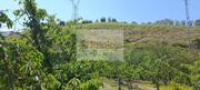 Quinta T0 - Cambres, Lamego, Viseu - Miniatura: 7/9