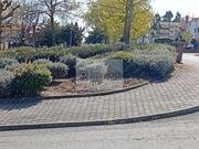 Terreno Urbano T0 - Lamego, Lamego, Viseu - Miniatura: 1/4