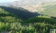 Terreno R�stico T0 - Lamego, Lamego, Viseu - Miniatura: 3/5