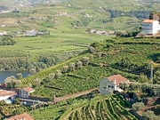 Pr�dio T1 - Godim, Peso da R�gua, Vila Real - Miniatura: 3/3