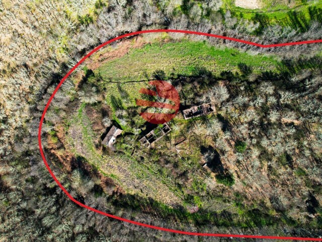 Moradia T1 - Castei��o, Meda, Guarda - Imagem grande