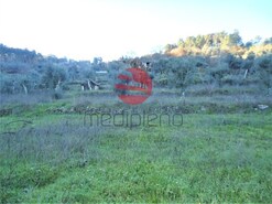 Terreno R�stico - S�o Cipriano, Viseu, Viseu