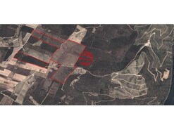 Terreno R�stico - Vila Nova de Foz C�a, Vila Nova de Foz C�a, Guarda