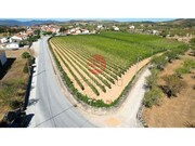 Quinta - Touca, Vila Nova de Foz C�a, Guarda - Miniatura: 4/9