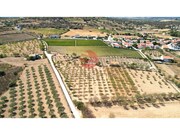 Quinta - Touca, Vila Nova de Foz C�a, Guarda - Miniatura: 5/9