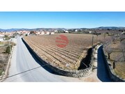 Quinta - Touca, Vila Nova de Foz C�a, Guarda - Miniatura: 6/9
