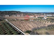 Quinta - Touca, Vila Nova de Foz C�a, Guarda - Miniatura: 8/9