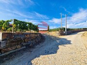 Quinta - Vila Nova de Foz C�a, Vila Nova de Foz C�a, Guarda - Miniatura: 1/9