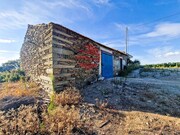 Quinta - Vila Nova de Foz C�a, Vila Nova de Foz C�a, Guarda - Miniatura: 4/9