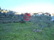 Terreno Rstico - So Cipriano, Viseu, Viseu - Miniatura: 3/4