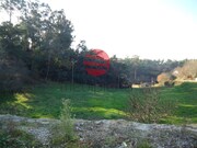Terreno Rstico - Sto, Sto, Viseu - Miniatura: 1/5