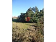 Terreno Rstico - Sto, Sto, Viseu - Miniatura: 2/5