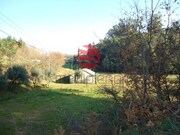 Terreno Rstico - Sto, Sto, Viseu - Miniatura: 4/5