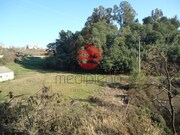 Terreno Rstico - Sto, Sto, Viseu - Miniatura: 5/5