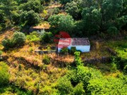Terreno R�stico - Longroiva, Meda, Guarda - Miniatura: 1/9