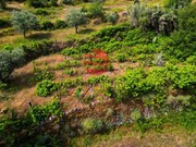 Terreno R�stico - Longroiva, Meda, Guarda - Miniatura: 3/9